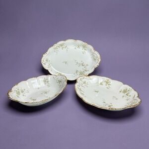 Theodore Haviland Limoges France Floral Gold Gilt Platter and 2 Vegetable Bowls